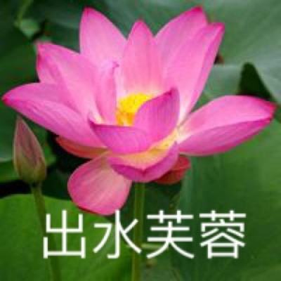 猛将挂三国游戏(暂未上线)v1.4 安卓版
